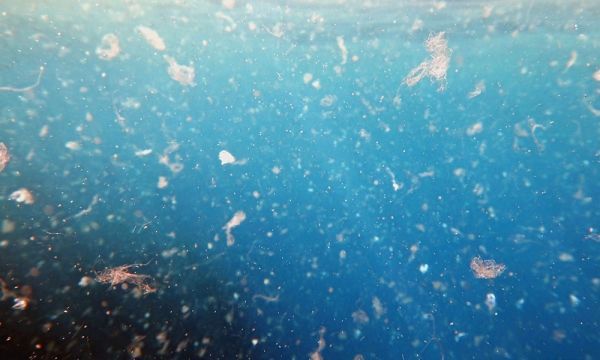 Image with missing alt attribute found on enn.com