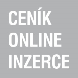 Image with missing alt attribute found on mafra.cz