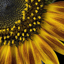 Image with missing alt attribute found on 360cities.net