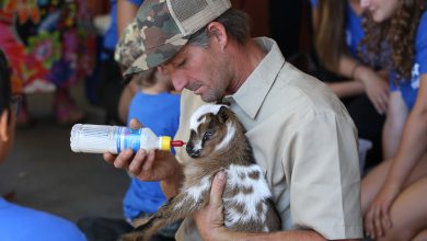 Image with missing alt attribute found on affairpost.com