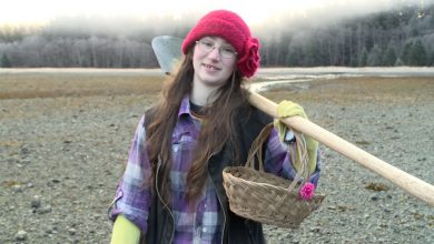 Image with missing alt attribute found on affairpost.com