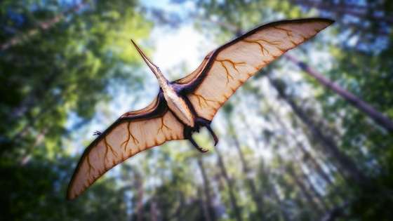 Image with missing alt attribute found on seeker.com