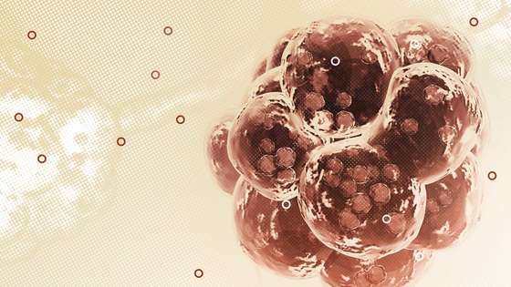 Image with missing alt attribute found on seeker.com