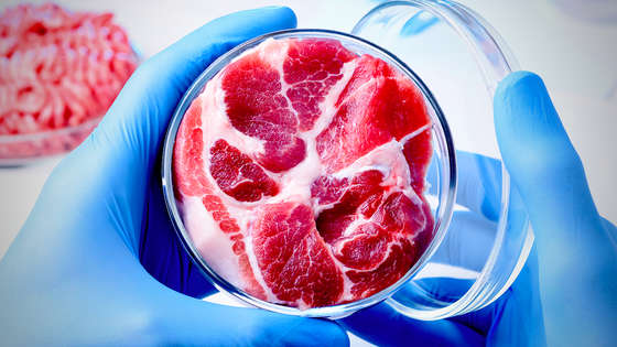 Image with missing alt attribute found on seeker.com