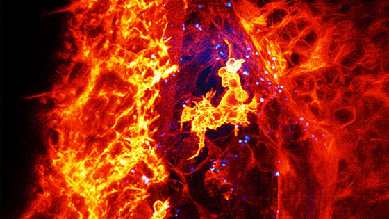 Image with missing alt attribute found on seeker.com