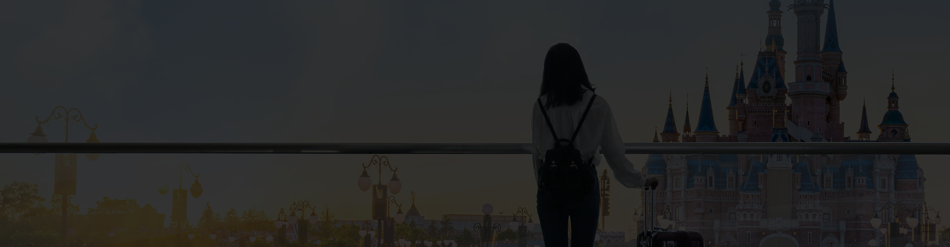 Image with missing alt attribute found on jny-socks.com