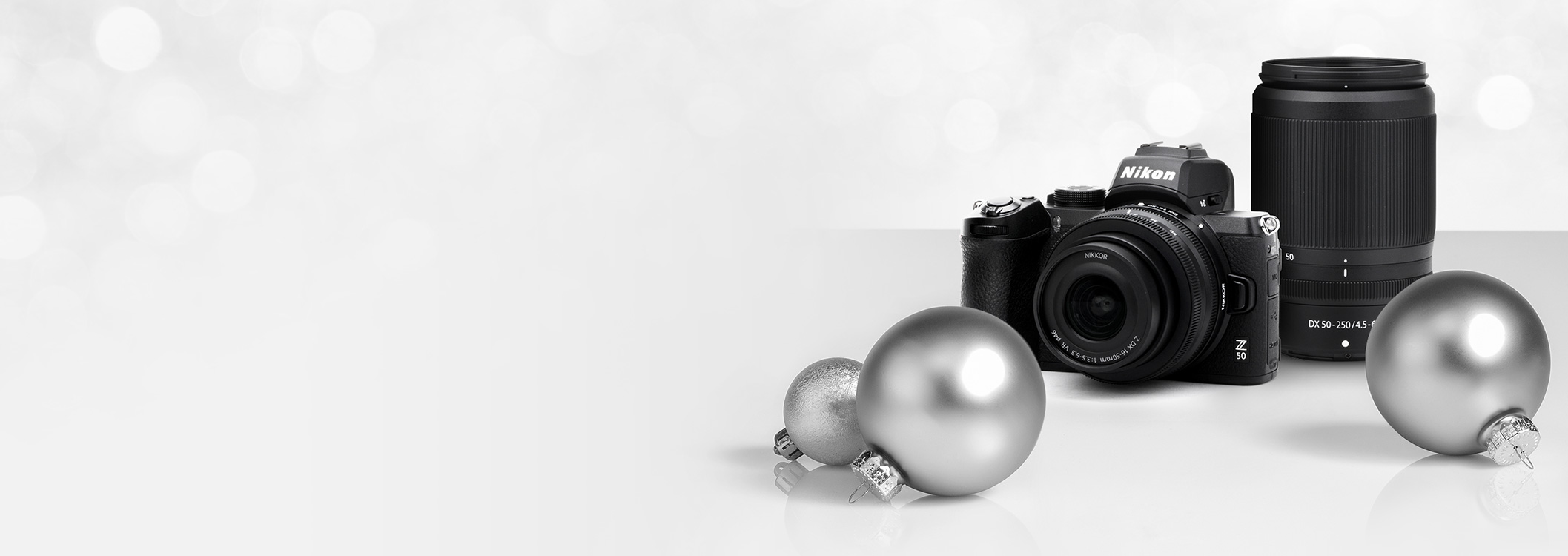 Image with missing alt attribute found on nikonusa.com