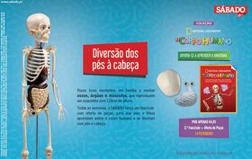 Image with missing alt attribute found on flash.pt