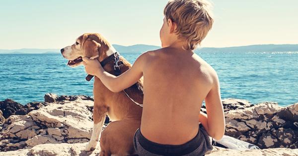 S&eacute;jour avec chien