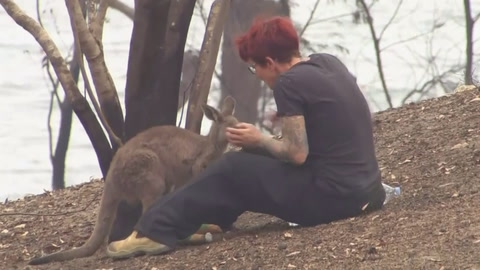 Image with missing alt attribute found on looptt.com