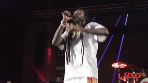 Image with missing alt attribute found on loopslu.com