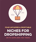 Niches for Dropshipping