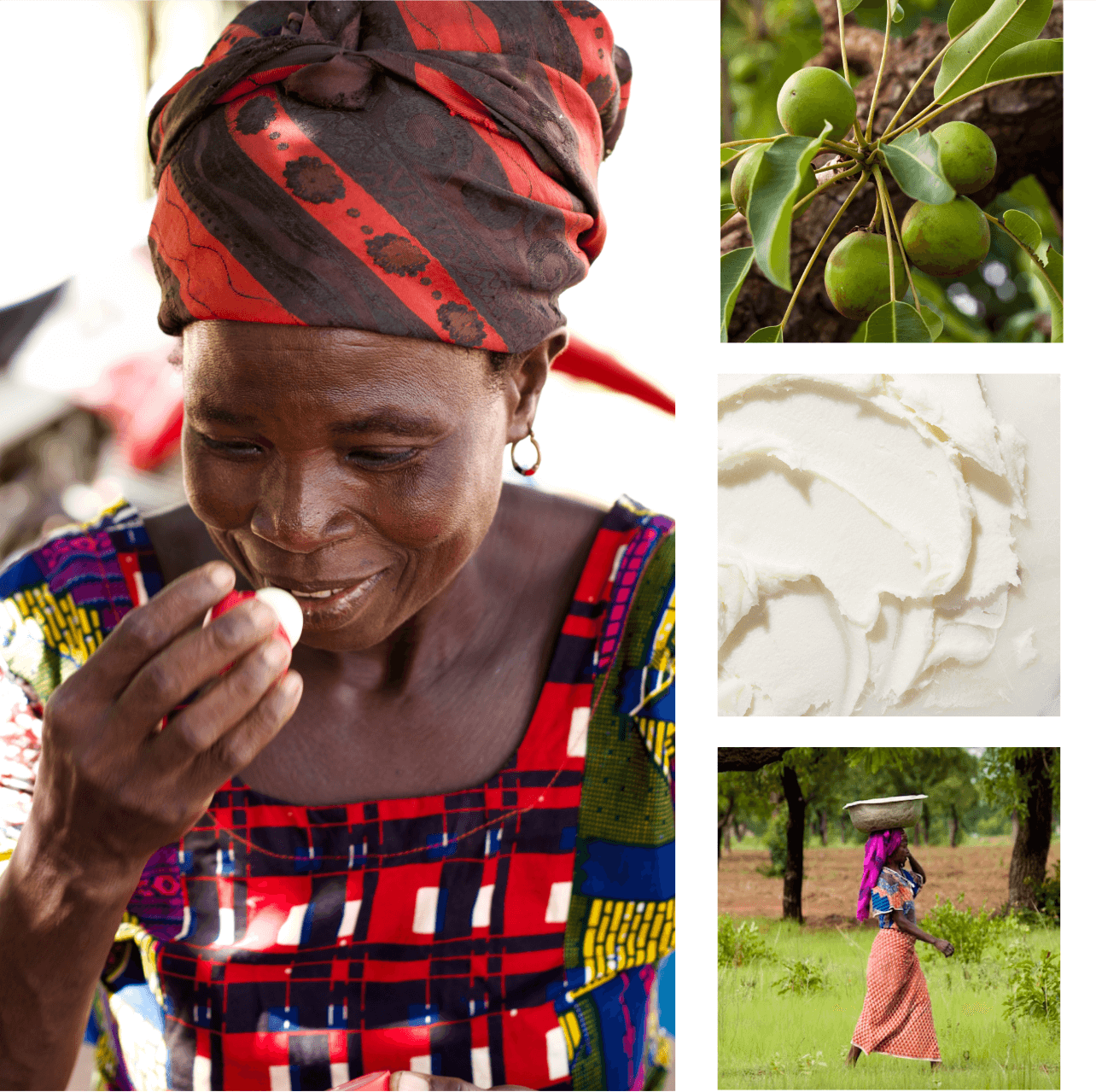 Image with missing alt attribute found on evolutionofsmooth.com