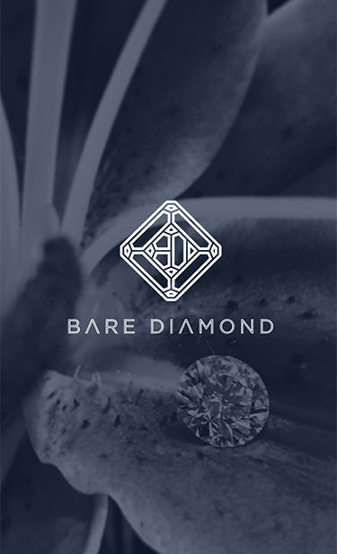 Image with missing alt attribute found on baileybanksandbiddle.com