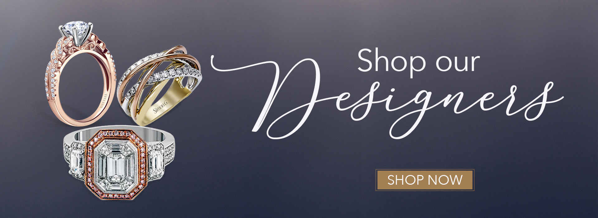 Image with missing alt attribute found on baileybanksandbiddle.com