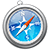 Safari Icon