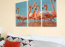 Multi Panel Canvas Prints