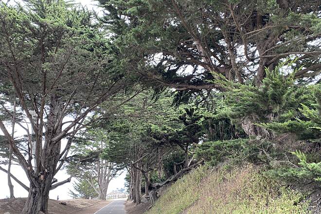 Image with missing alt attribute found on traillink.com