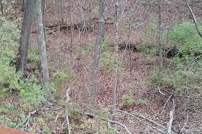 Image with missing alt attribute found on traillink.com