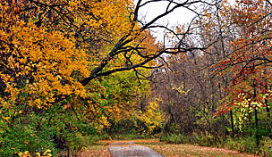 Image with missing alt attribute found on traillink.com