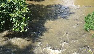 Image with missing alt attribute found on traillink.com