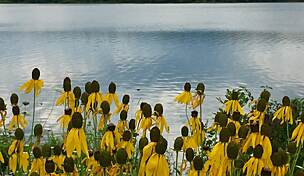 Image with missing alt attribute found on traillink.com