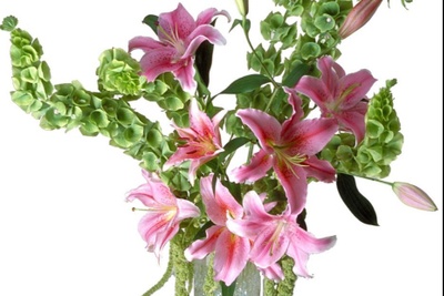 Image with missing alt attribute found on cratejoy.com