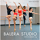 Image with missing alt attribute found on weissmans.com