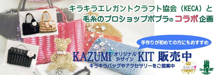 Image with missing alt attribute found on poplar-web.com