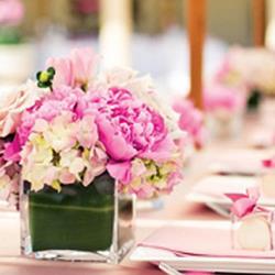 Image with missing alt attribute found on thebash.com