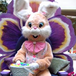 Image with missing alt attribute found on thebash.com