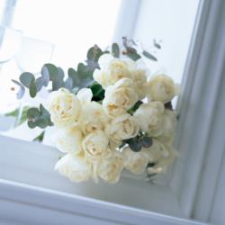 Image with missing alt attribute found on thebash.com