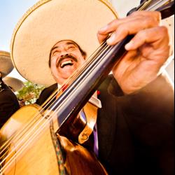 Image with missing alt attribute found on thebash.com