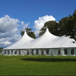 Image with missing alt attribute found on thebash.com