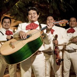 Image with missing alt attribute found on thebash.com