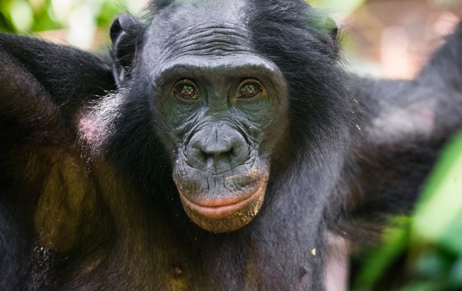 Image with missing alt attribute found on thepetitionsite.com