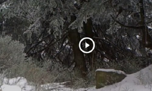 Image with missing alt attribute found on rmf.fm