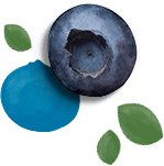 Image with missing alt attribute found on driscolls.com