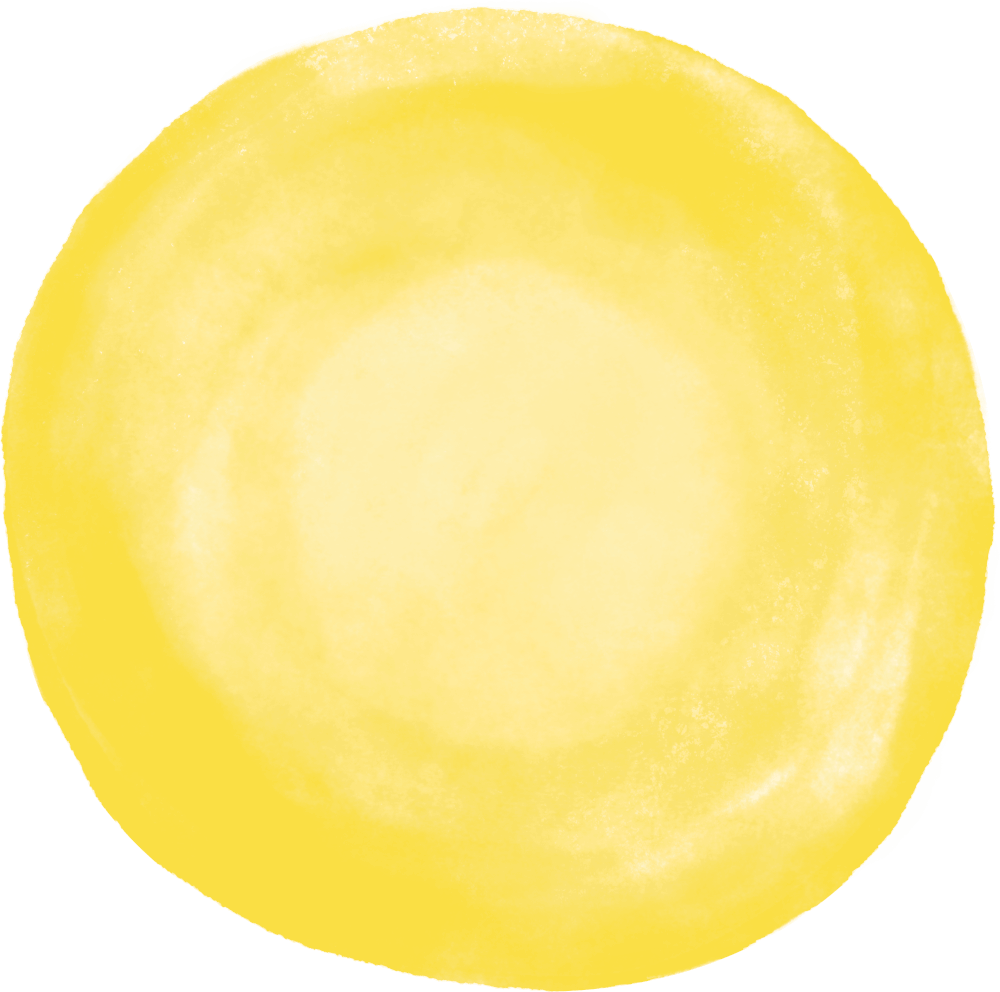 Image with missing alt attribute found on driscolls.com