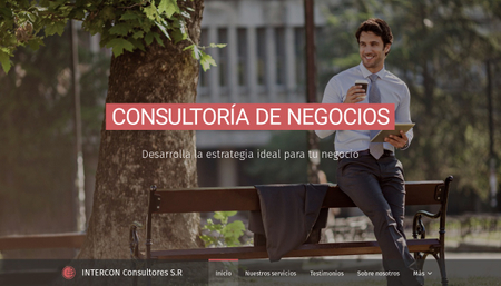 Plantilla - Consultoría de Negocios