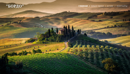 Шаблон для салона вин