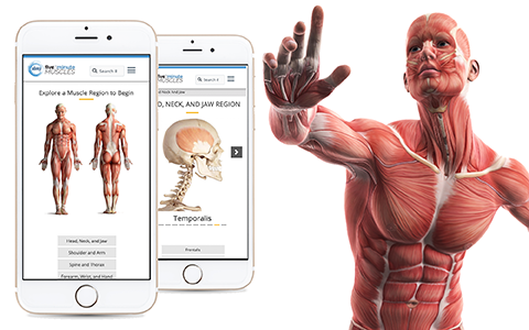 Image with missing alt attribute found on abmp.com