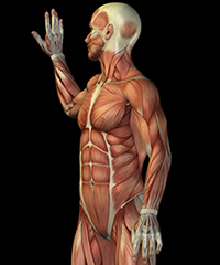 Image with missing alt attribute found on abmp.com