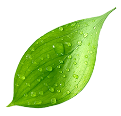 Image with missing alt attribute found on abmp.com