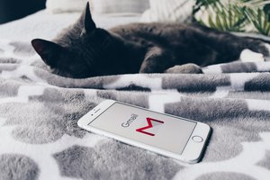 Image with missing alt attribute found on wn.com