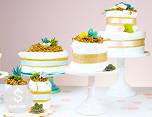 Image with missing alt attribute found on evite.com