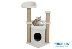 Какую когтеточку кот точно полюбит