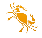 Image with missing alt attribute found on ensonhaber.com