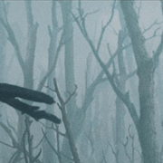 Image with missing alt attribute found on kizlarsoruyor.com