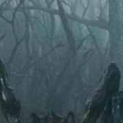 Image with missing alt attribute found on kizlarsoruyor.com